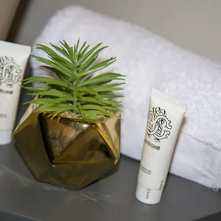 Affittacamere Cretan Berry Sarpaki